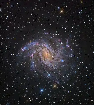 Image illustrative de l’article NGC 6946