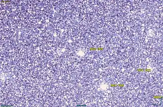 Image illustrative de l’article NGC 1928