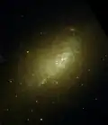 NGC 2915 par le télescope spatial Hubble.
