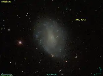 Image illustrative de l’article NGC 4242