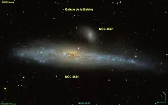 Image illustrative de l’article NGC 4631