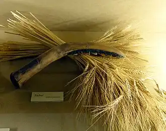 Outil de bois et de pierre posé sur une botte de blés. Le tout se trouve sur une planche sur laquelle de se trouve une étiquette.