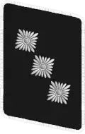 Patte de col de Sturmführer du Nationalsozialistisches Kraftfahrkorps.