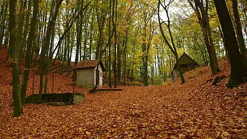 Na Hradech : réserve naturelle.