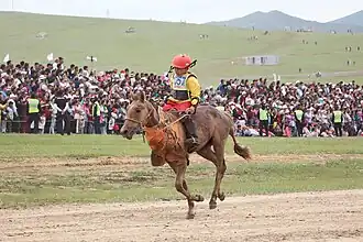 Un petit cheval brun monté par un petit garçon.