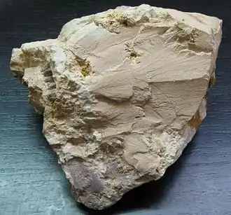 Image illustrative de l’article Nacrite