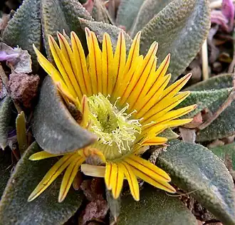 Description de cette image, également commentée ci-après