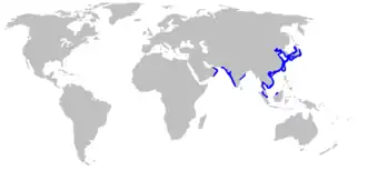 Description de l'image Narke dipterygia rangemap.png.