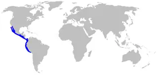 Description de l'image Nasolamia_velox_distmap.png.