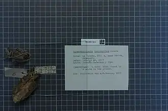 Description de cette image, également commentée ci-après