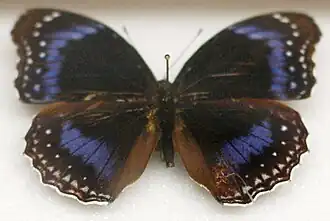 Description de cette image, également commentée ci-après