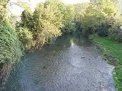 Le Neez, en amont de Jurançon .