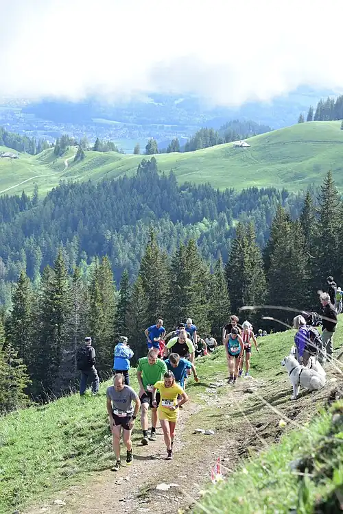 Description de cette image, également commentée ci-après