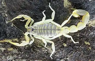 Description de cette image, également commentée ci-après