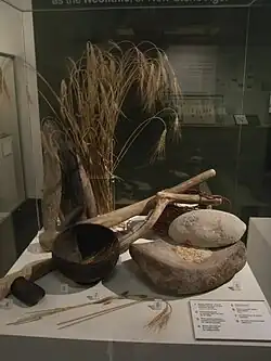 Agriculture néolithique