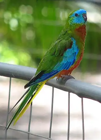 Description de cette image, également commentée ci-après