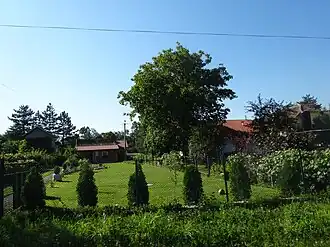 Nepričava