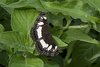 Description de cette image, également commentée ci-après