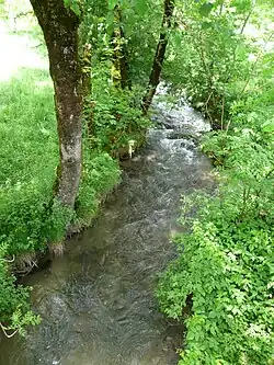La Neste d'Oueil à Mayrègne.