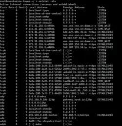 Description de l'image Netstat screenshot.png.