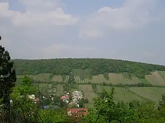 Vue du Neuberg depuis le Sommerhaidenweg.