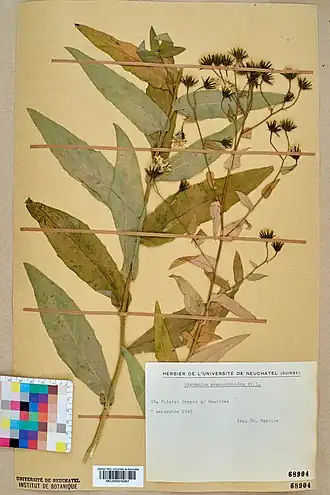 Description de cette image, également commentée ci-après