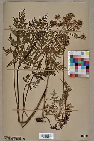 Description de cette image, également commentée ci-après