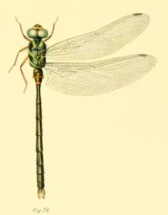 Description de cette image, également commentée ci-après