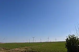 La forêt d'éolienne.