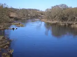 Formation d'un méandre : la berge de gauche régresse naturellement sous l'action érosive du courant, alors que la berge de droite avance, le courant moins rapide y déposant des sédiments fixés par les arbres.