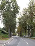 Une allée d’arbres à Niederanven, route de Trèves.