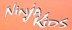 Description de l'image Ninja Kids.jpg.