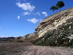 Formations miocènes.