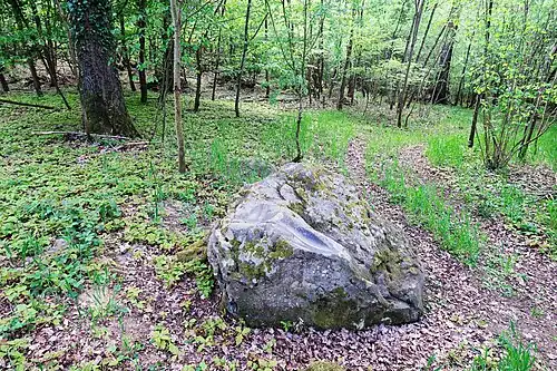 Le polissoir des Fainéants dans son environnement.