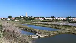 Marais salants sur l'île de Noirmoutier.
