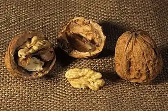 Noix fraiches du Périgord.