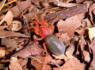 Description de cette image, également commentée ci-après