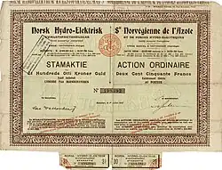 Action de la Norsk Hydro (Société Norvégienne de l'Azote et de Forces Hydro-Electriques) de 180 Kr. or = 250 francs, émise le 1er juillet 1912 à Notodden, signée en original par Knut Agathon Wallenberg pour le conseil des directeurs