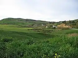 Image illustrative de l’article Les Chants de l'été