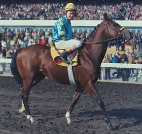 Image illustrative de l’article Northern Dancer