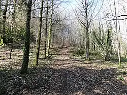 L'arboretum de la Fôt (début mars 2022).