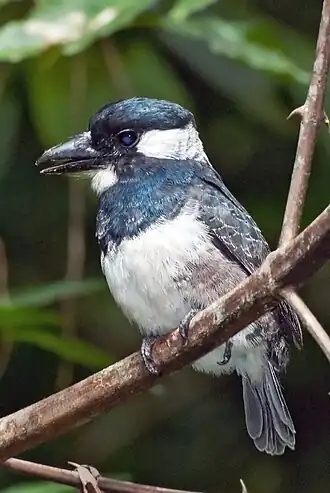 Description de cette image, également commentée ci-après