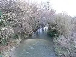 La Nouère en aval du pont de la route nationale 141 à Asnières-sur-Nouère.