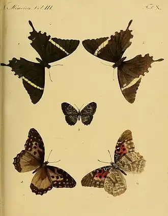 Description de l'image NouveauxMemoiresSocImpNatMoscouPlateX.jpg.