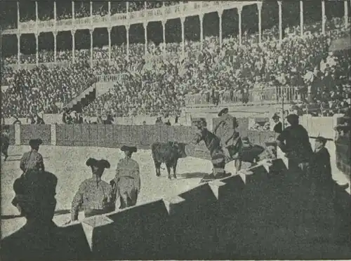Novillada dans l'arène de Goya (1896).