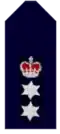 New South Wales Police Force (Australie).