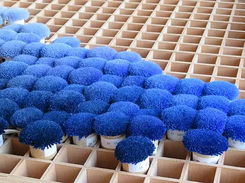 Nuancier bleu utilisé à la manufacture de la Savonnerie