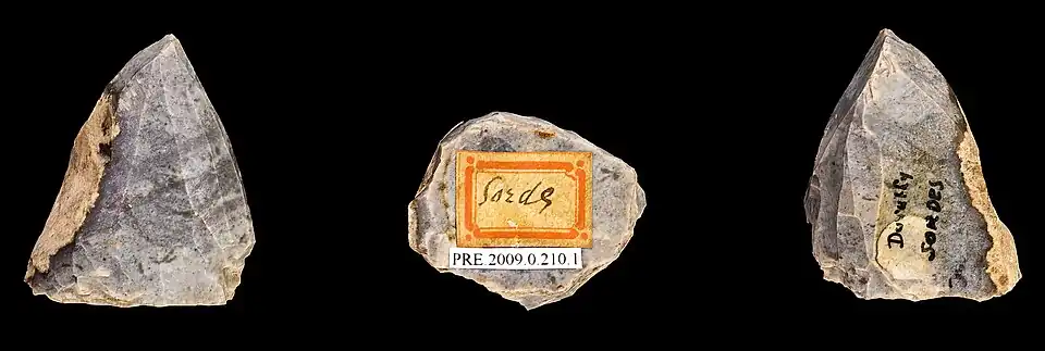 nucléus à lamelles