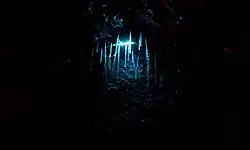 Filaments produits par les larves de vers luisants