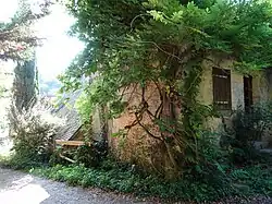 Photographie en couleurs en couleurs d'un bâtiment ancien non habité et partiellement envahi par la végétation.